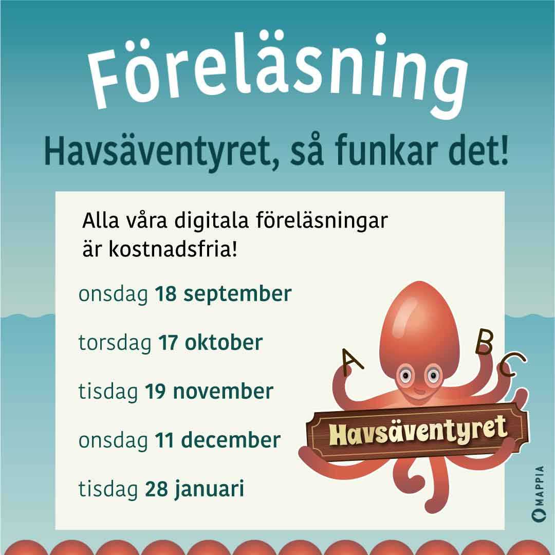 Havsäventyret, så funkar det!